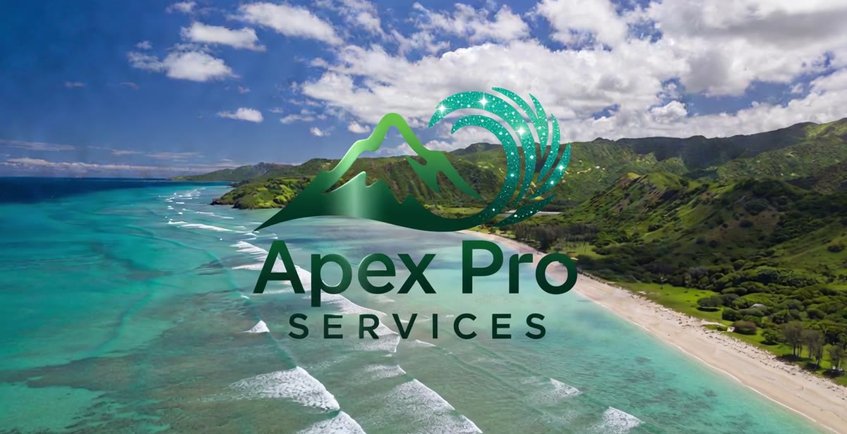 APEX Pro Services — aerial Hawaiian coastline